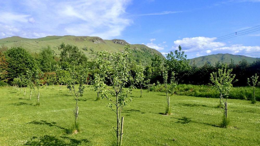 Foxglove Cottage Maybole Zewnętrze zdjęcie